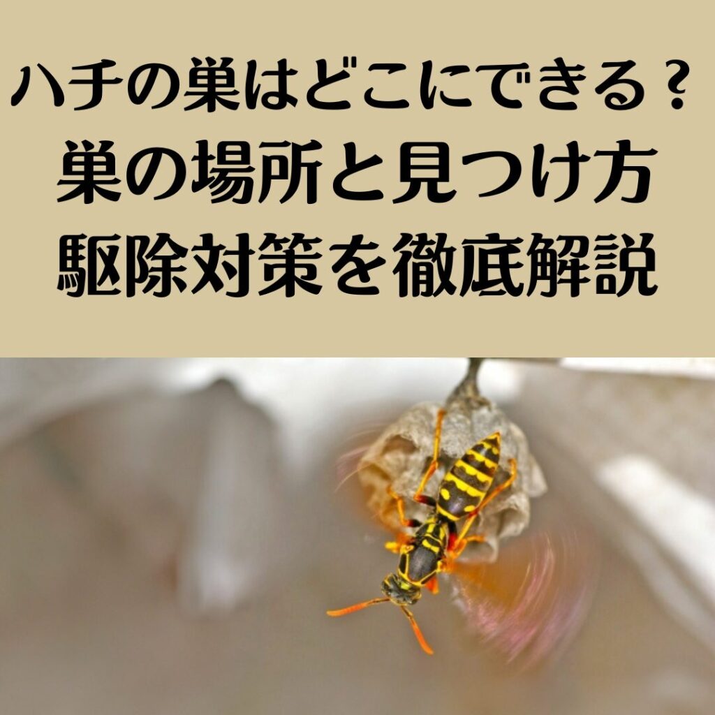 ハチの巣ヘアと狂気のシャウト、今こそ見直したい「バービーボーイズ杏子の若い頃」の圧倒的カリスマ性
